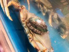 -盒马鲜生(大成店)