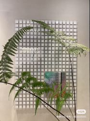 -时光海科学美肤中心