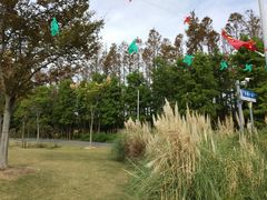 -上海长兴岛郊野公园