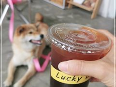 -隹木咖啡馆(宝龙广场店)