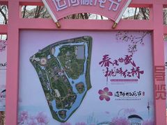 -桃花堤公园
