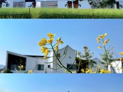 -东梓关景区村庄