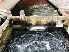 -百脉泉景区