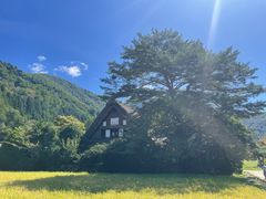 -白川乡与五箇山的合掌构造村落