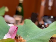 -炎橘·板前料理 Omakase