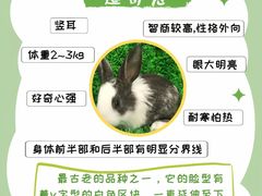 -博特宠物医院24h犬猫全科.骨科·异宠