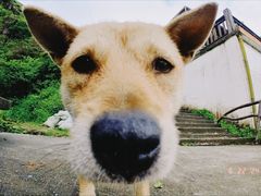 -萍乡武功山风景名胜区