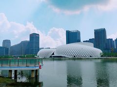 -金沙湖公园