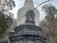 -大觉寺-停车场