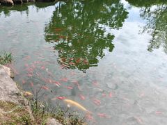 -兰亭风景区