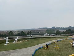 -空港花田景区