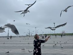 -东港音乐喷泉广场