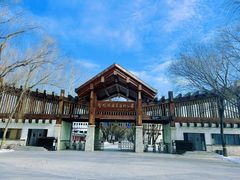 -野鸭湖国家湿地公园