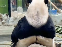 -栾川竹海野生动物园