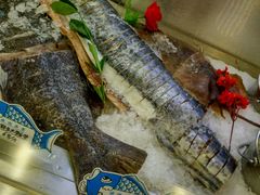 -渔娘渔家丹东海鲜(东直门店)