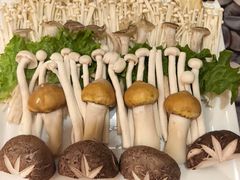 -清真军邺·金富苑肥牛城(海湖新区精品店)