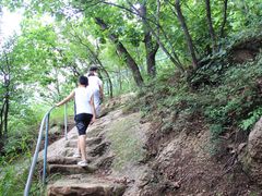 -六里坪国家森林公园