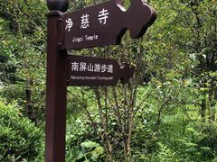 -九曜山
