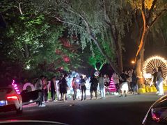 -枫花园汽车电影院(朝阳公园店)