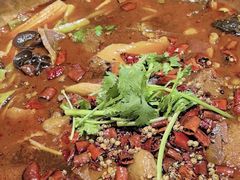 -蓉客成都火锅·招牌麻辣牛杂·特色香辣蹄花(凌水店)