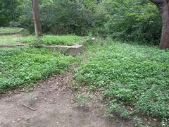 -北陵公园