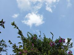 -沃森湾