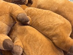 -BIGOFFS 超级折扣(仁恒伊势丹店)