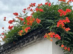 -青果巷历史文化街区