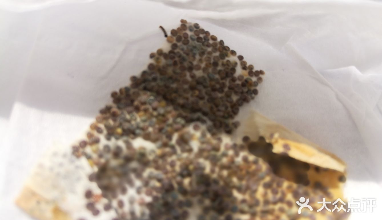 这次为了满足小朋友的好奇心