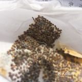 这次为了满足小朋友的好奇心