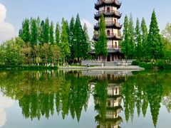 -桃花岛公园