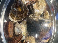 -和源祥·日照菜扛把子(万平口一店)