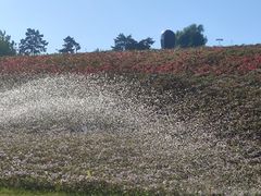 -长春世界雕塑园冰雪艺术天地