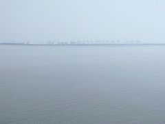 -大湾区中央湿地公园