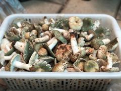 -九溪蒋记菌子宴