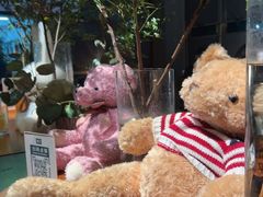 -咖法森林·咖啡  酒吧(天河店)