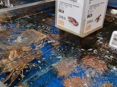 -盒马鲜生(帝斯曼店)