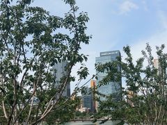 -后襄河公园
