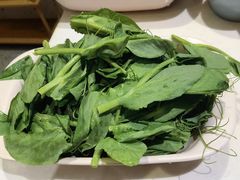 豌豆尖-小街猪手(团结湖店)