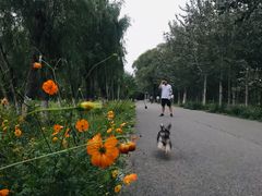 -东郊湿地公园