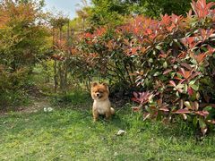 -佳雯宠物医院(金华南路分院)