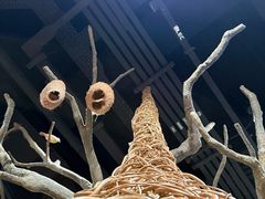 -新加坡飞禽公园