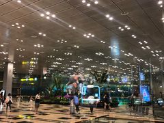 -樟宜机场免税店