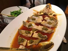 -甄御•海鲜新青岛菜(麦岛店)