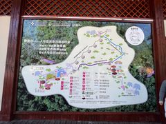 -野象谷景区
