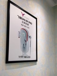 -YESIDO椰岛造型