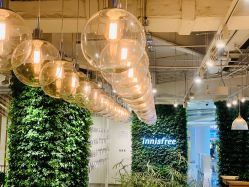 -悦诗风吟innisfree