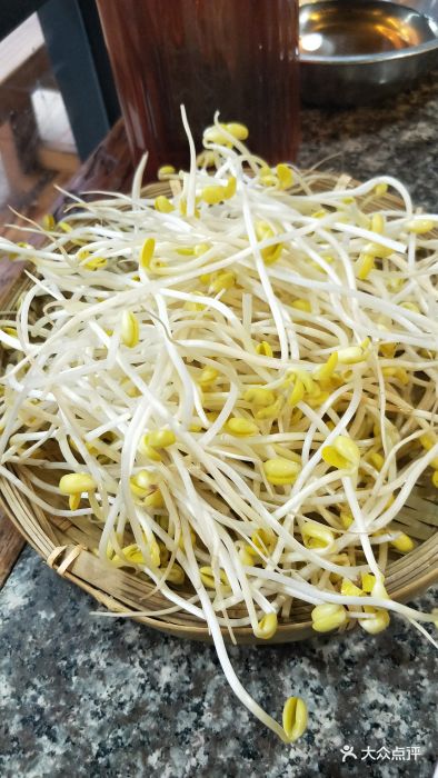 江上城.大侠重庆老火锅(黄石总店)豆芽图片 - 第1张