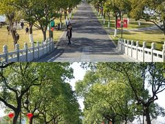 -东钱湖小普陀景区