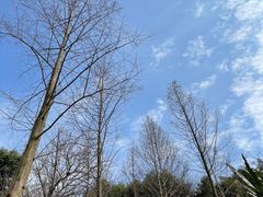 -重庆彩云湖湿地公园